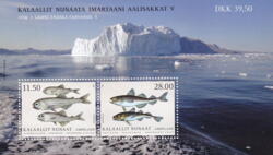 AFA 907 Miniark Postfrisk Grønland