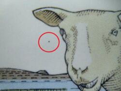 AFA 1809y POSTFRISK DANMARK, sort plet ud for øje