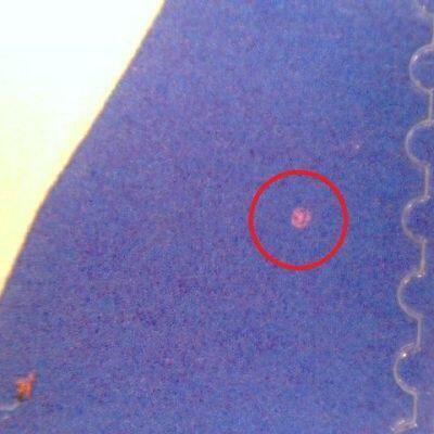 AFA 1778x 6,50 kr. Norden ved Havet, Lyserød plet i højre side ud for 6.50. Nummer 1 i arket. Postfrisk