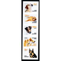 AFA 1973-77 5-stribe 50 kr Hunde POSTFRISK DANMARK, Passer til Leuchtturm tillægsblade.