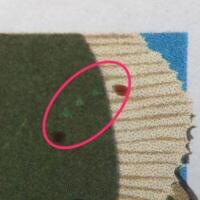 AFA 1841x 8 kr. Stjerneskud POSTFRISK, Grønne pletter på fisken øverst til højre.